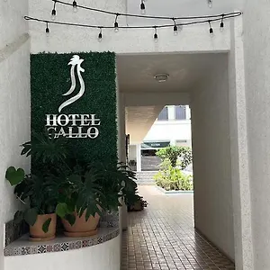 2* Hotel Gallo